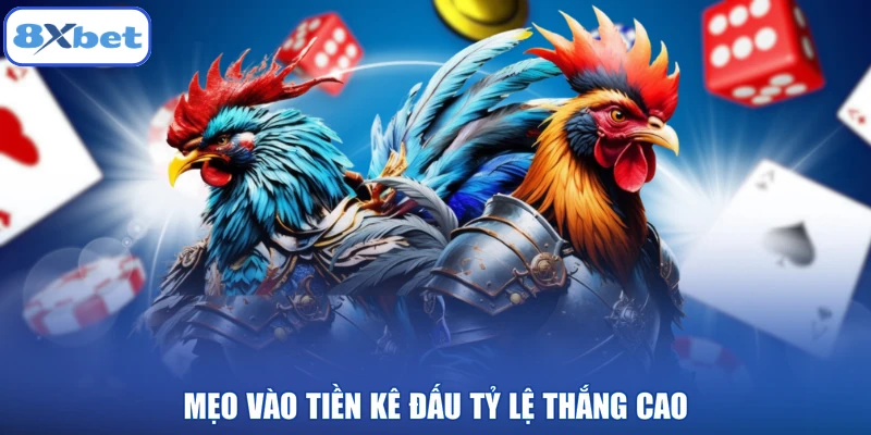 Mẹo vào tiền kê đấu tỷ lệ thắng cao